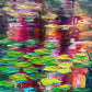 Detail of Sunset Lilies by Maria-Victoria Checa showing textured palette knife lily pads in chartreuse and green against bold crimson and magenta sunset reflections on a deep teal pond.